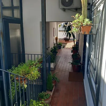 Appartement Nilo 28 House *